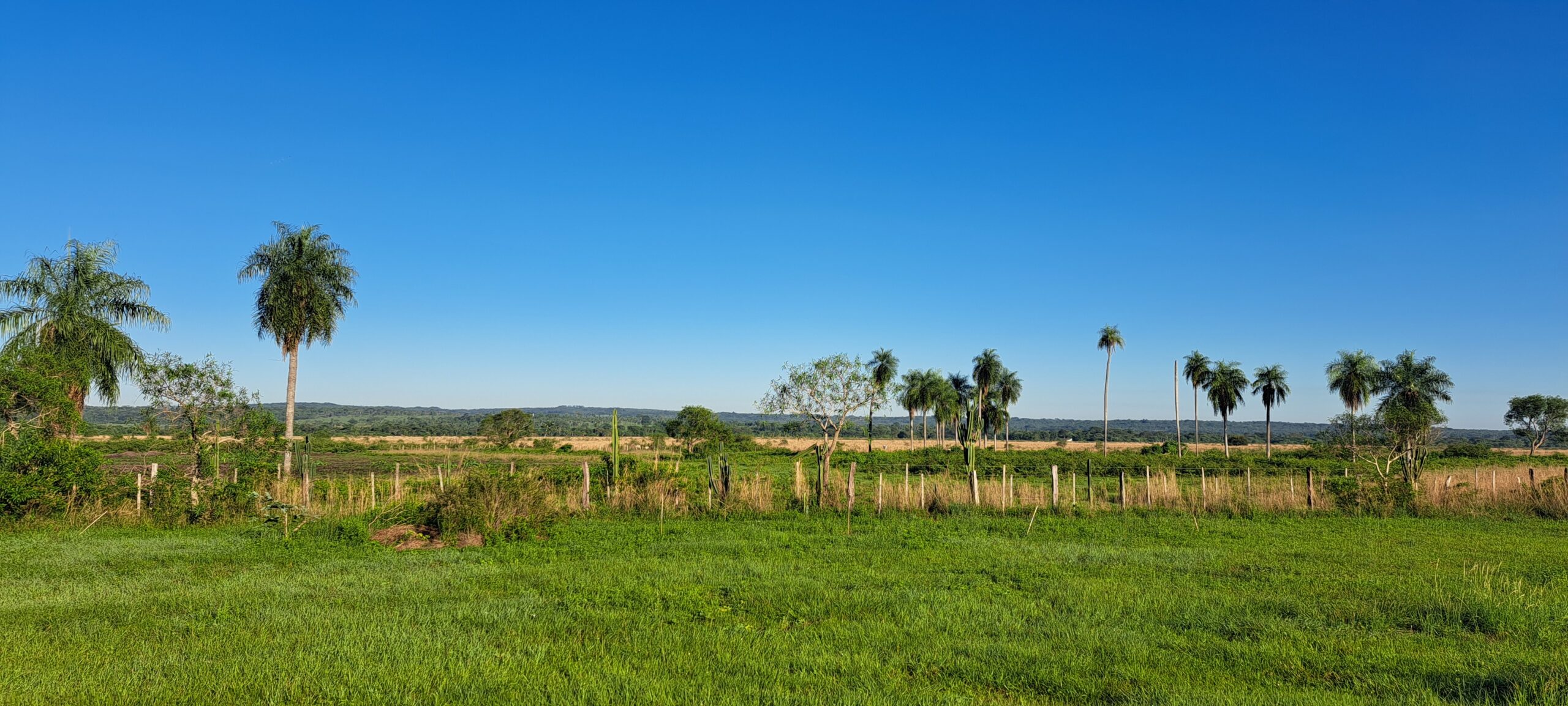 Auswandern nach Paraguay – Landschaft in Paraguay
